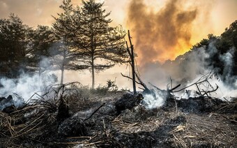 Оценка ущерба после стихийного бедствия в Кемерове: отчет оценщика